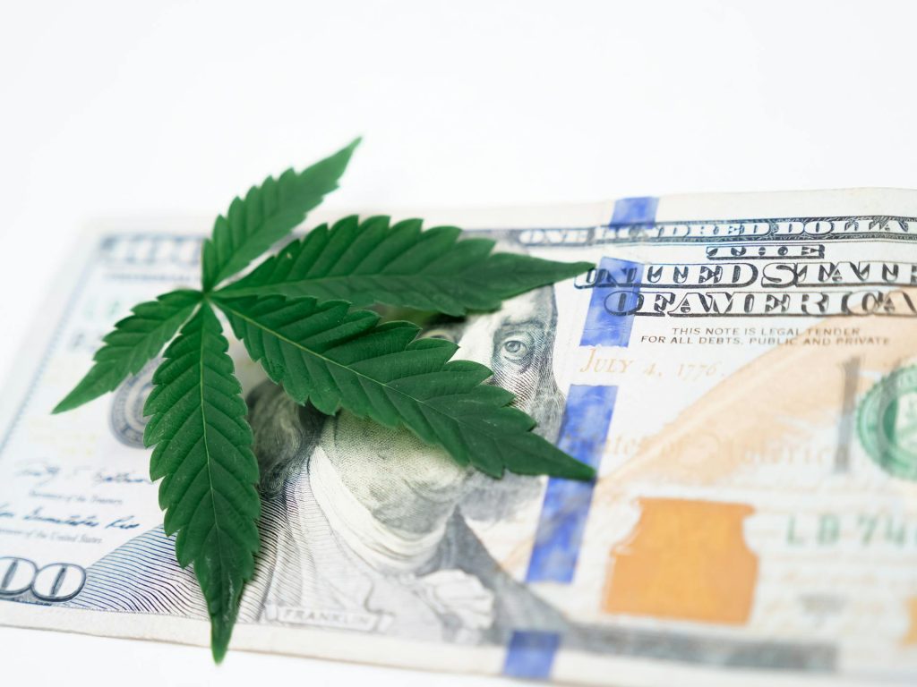 Cannabis leaf resting on a US $100 bill, symbolizing the legal marijuana industry and cannabis business revenue.
